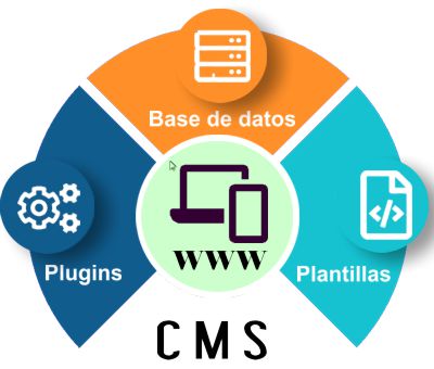 Proceso de trabajo del CMS